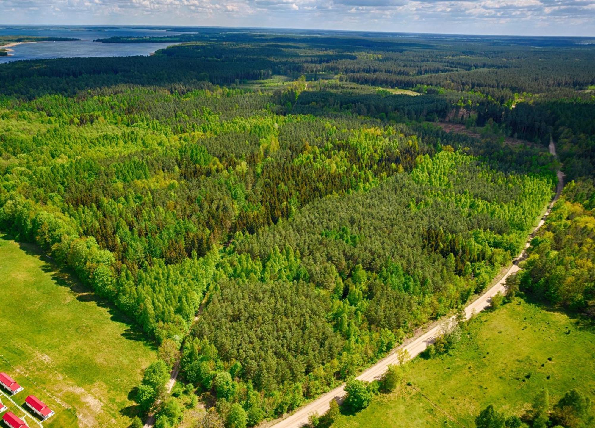 Osada Wilaneska Domki Mikolajki Mazury Kültér fotó